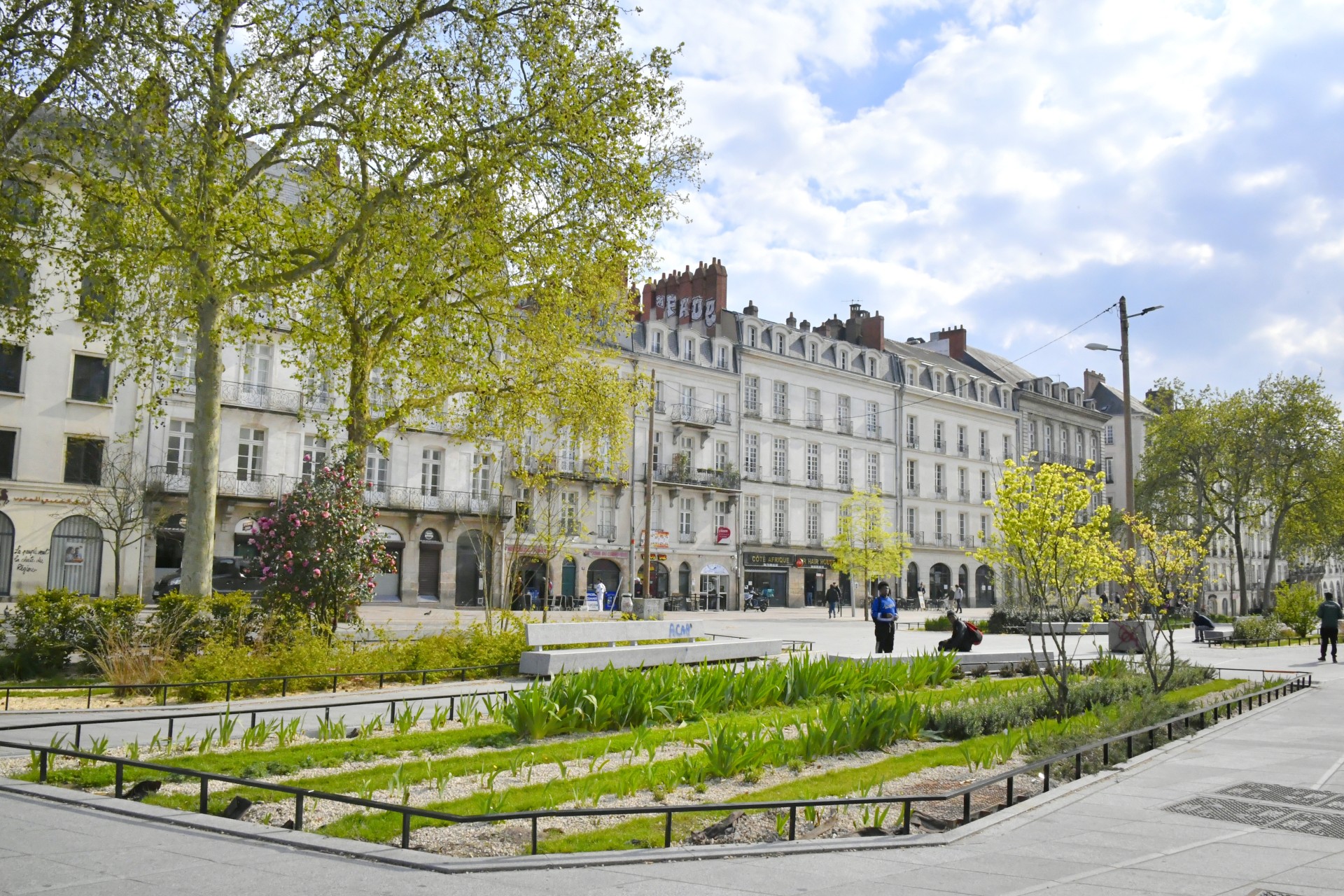 ifla-world-congress-2025-technical-tours_ancien_bras_de_loire_centre_feydeau-commerce.jpg
